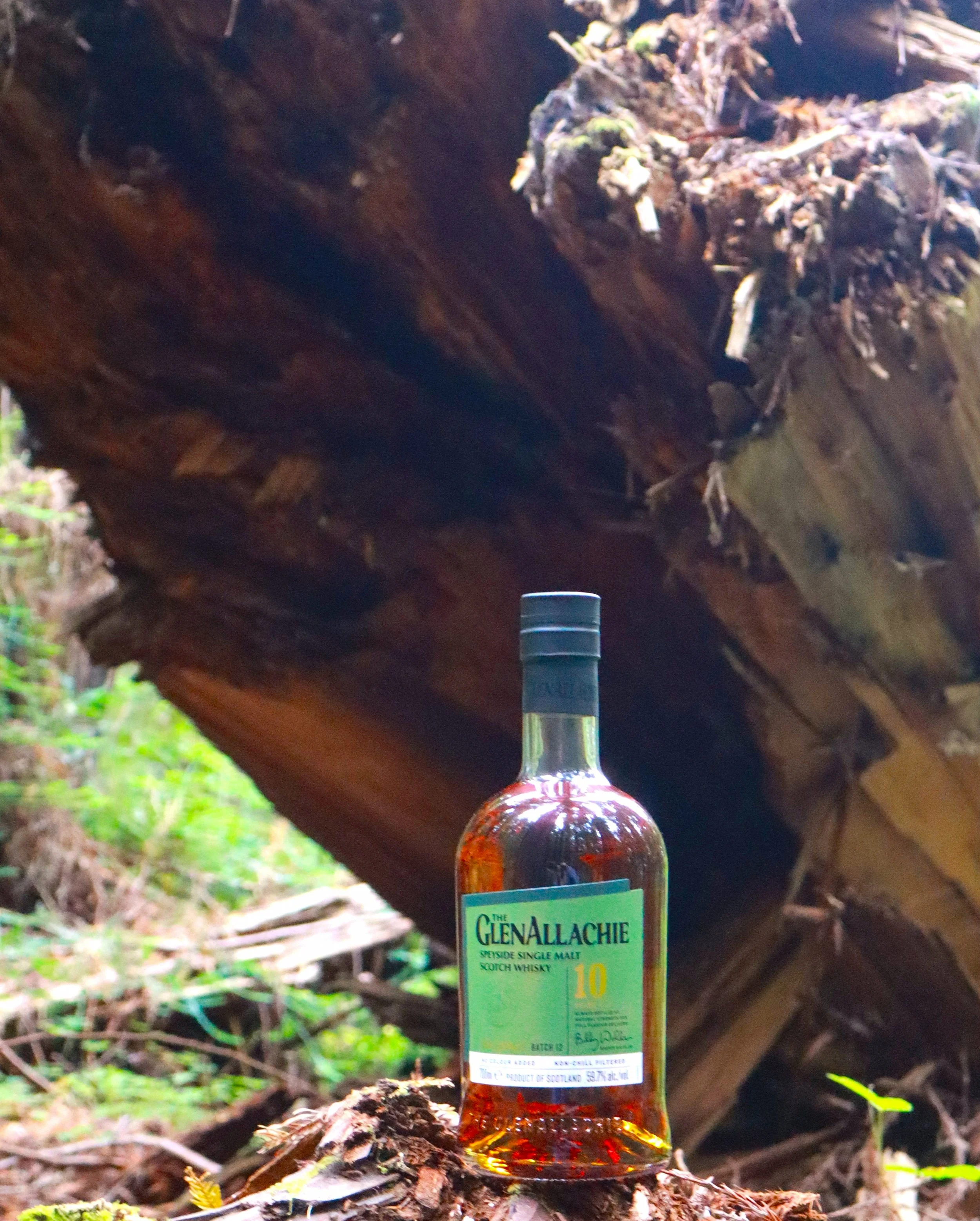 Glenallachie 10 Cask Strength — Dramface